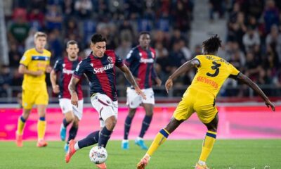 Bologna-Atalanta 1-1