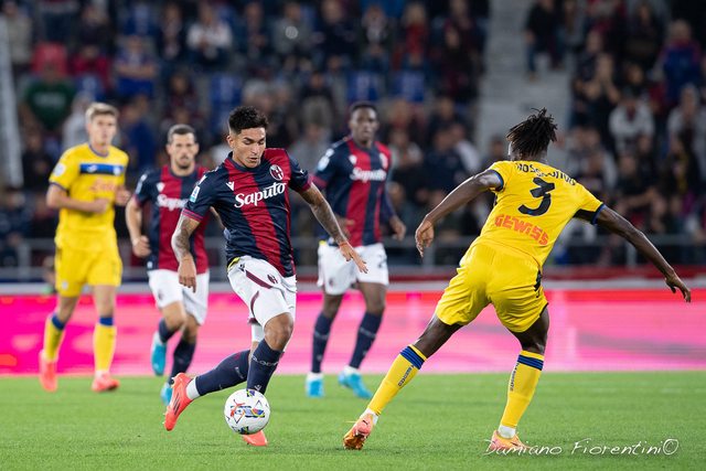 Bologna-Atalanta 1-1