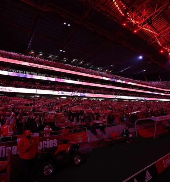 Lo stadio Da Luz, sede della prossima trasferta europea del Bologna