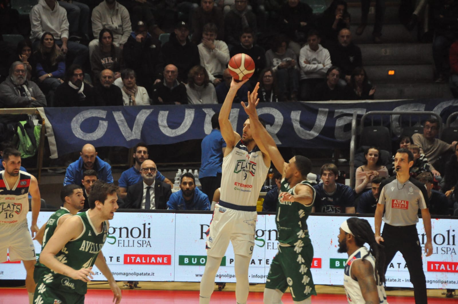 Riccardo Bolpin in Fortitudo Flats Service Bologna - Avellino Basket (©Mauro Donati - Fortitudo Flats Service Bologna)