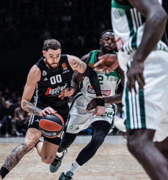 Virtus-Panathinaikos